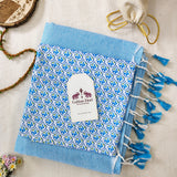 Graceful Handloom Cotton Saree – Sky Blue Cotton Saree with Elegant Printed Blouse