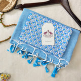 Graceful Handloom Cotton Saree – Sky Blue Cotton Saree with Elegant Printed Blouse