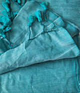 Soft Turquoise Blue Handloom Cotton Saree Elephant Printed Blouse